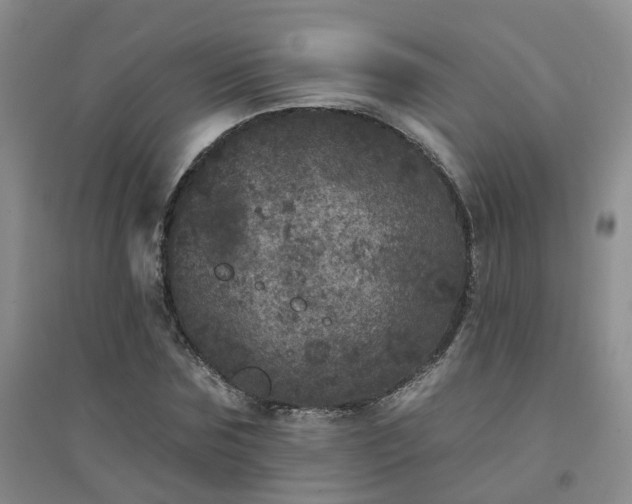 X0000094440875200711151402