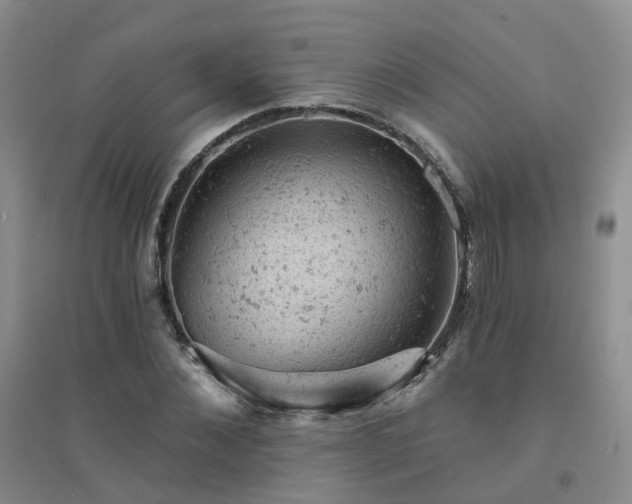 X0000094440876200711151402