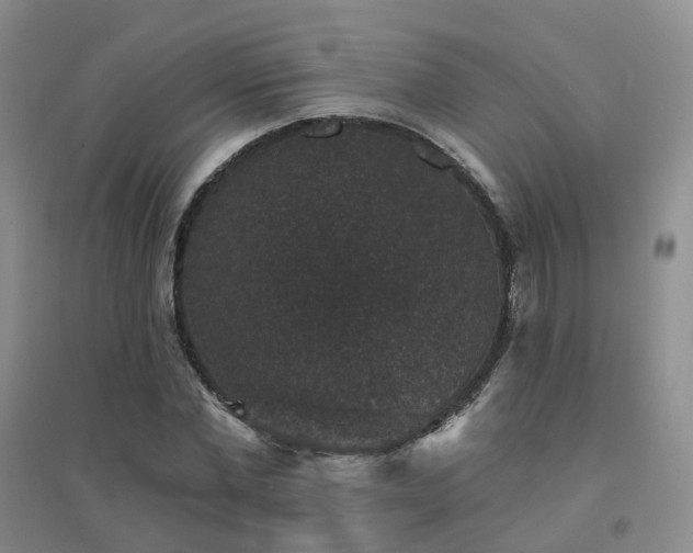 X0000094440877200711151402