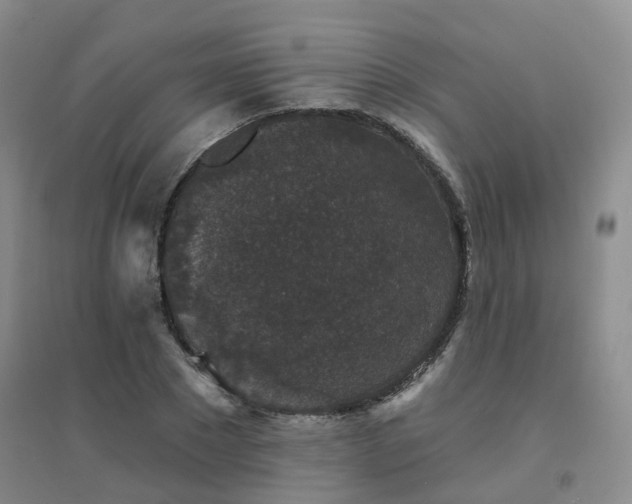 X0000094440881200711151402