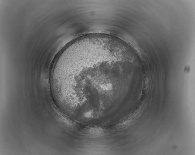 X0000094440882200711151402