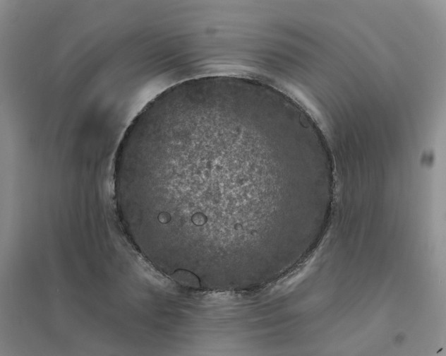 X0000094440883200711151402