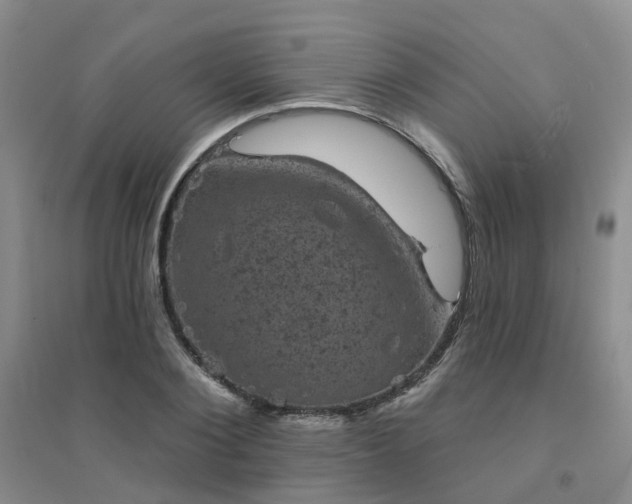 X0000094440884200711151402
