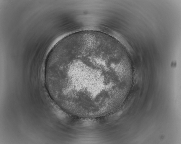 X0000094440886200711151402