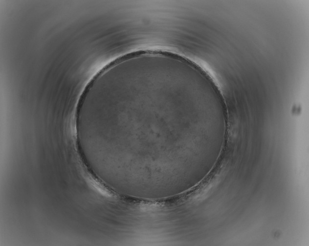 X0000094440887200711151402