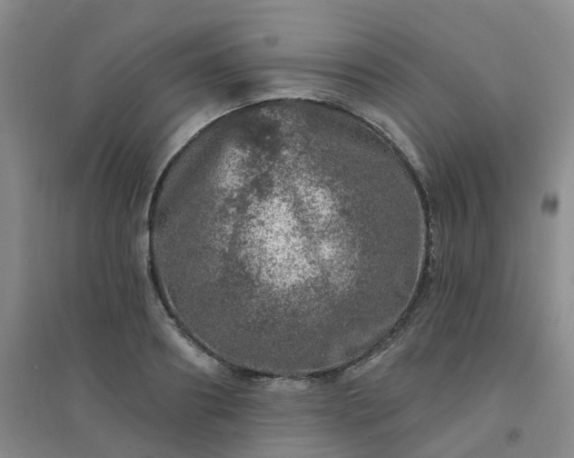 X0000094440890200711151402