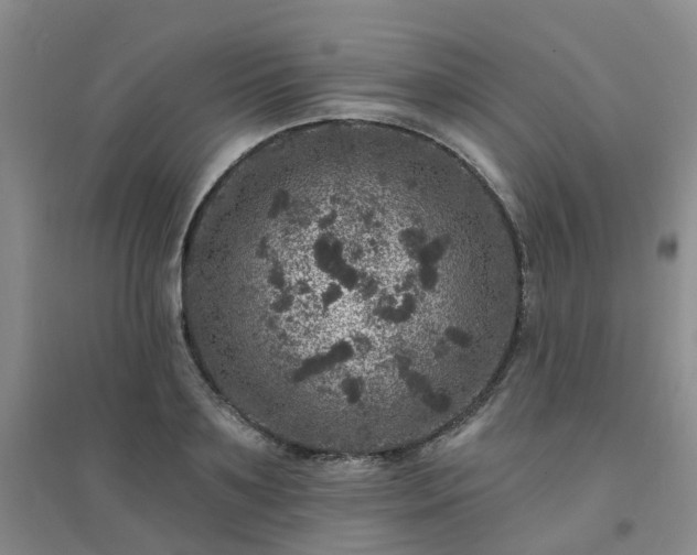 X0000094440891200711151402