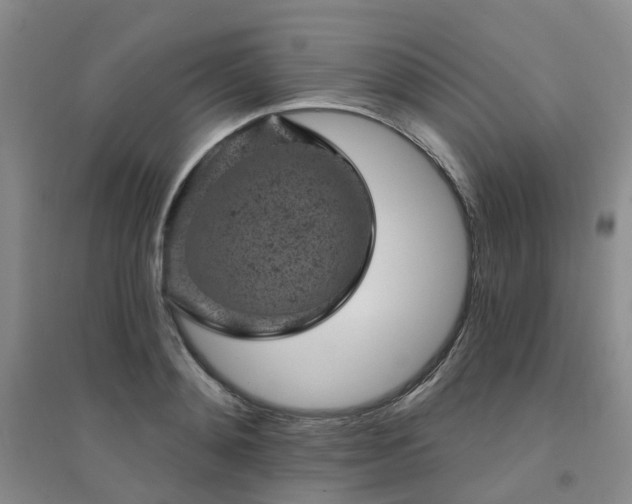 X0000094440892200711151402