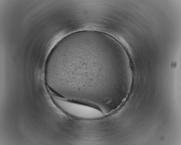 X0000094440896200711151402