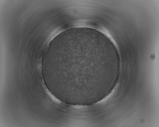 X0000094440897200711151402