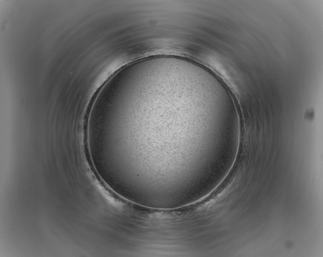 X0000094440898200711151402