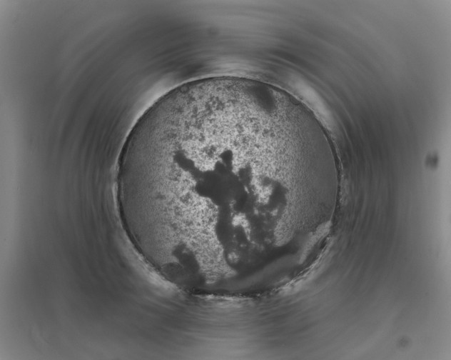 X0000094440899200711151402