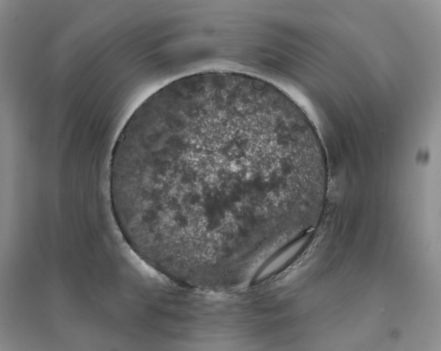 X0000094440903200711151401