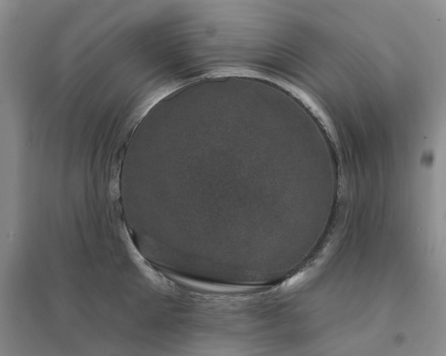 X0000094440905200711151401