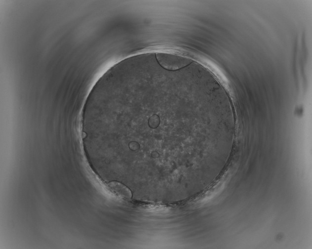 X0000094440907200711151401