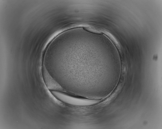 X0000094440910200711151401