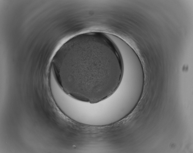 X0000094440912200711151401