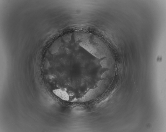 X0000094440913200711151401
