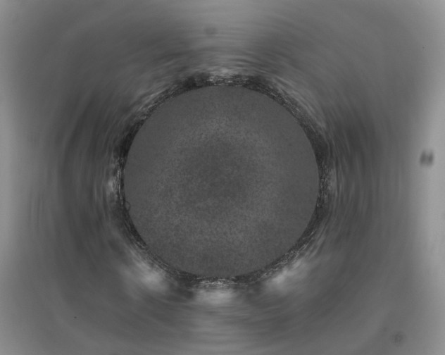 X0000094440914200711151401
