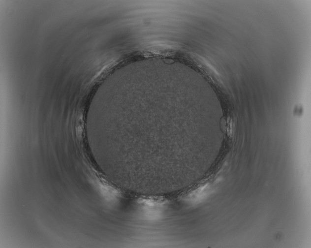 X0000094440915200711151401