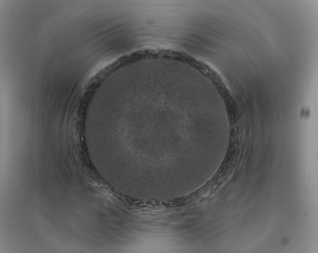 X0000094440919200711151401