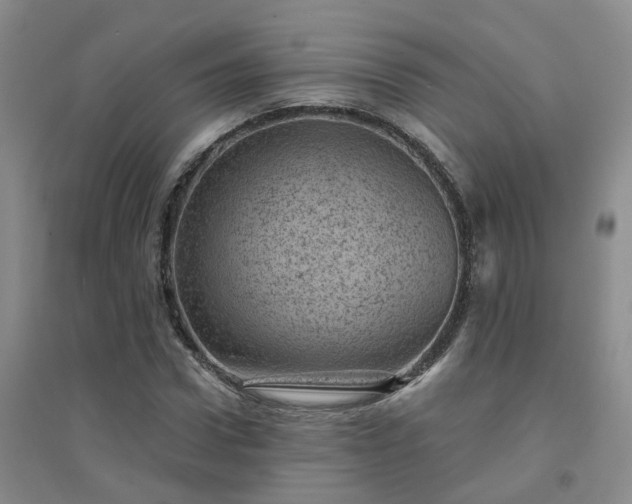 X0000094440922200711151401