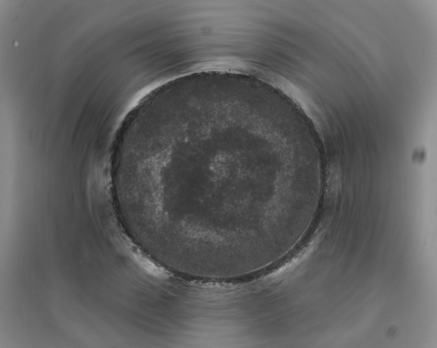 X0000094440923200711151401