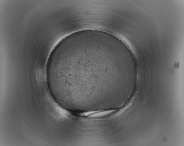 X0000094440924200711151401