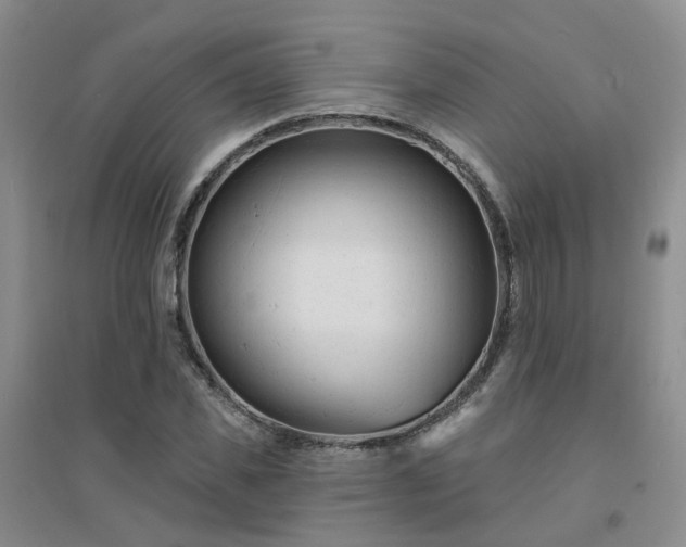 X0000094440925200711151401