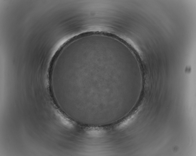 X0000094440927200711151401