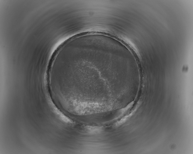 X0000094440928200711151401