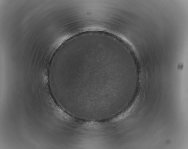 X0000094440929200711151401