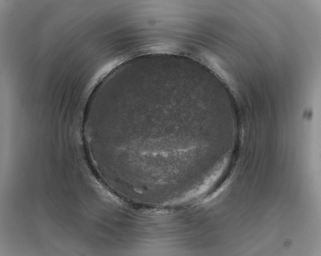 X0000094440930200711151401