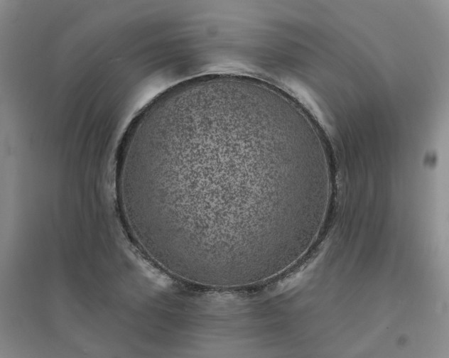 X0000094440931200711151401