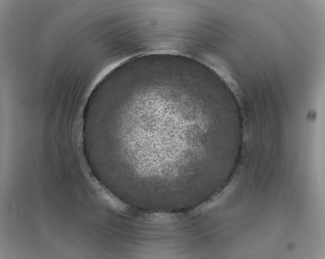 X0000094440933200711151401