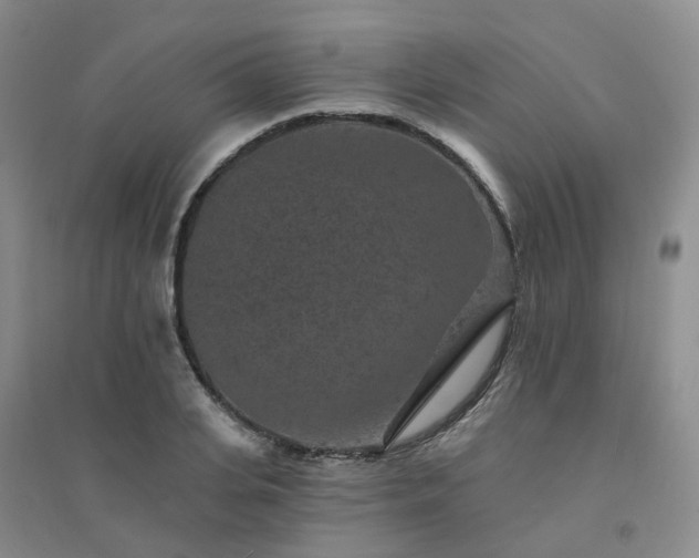 X0000094440935200711151401