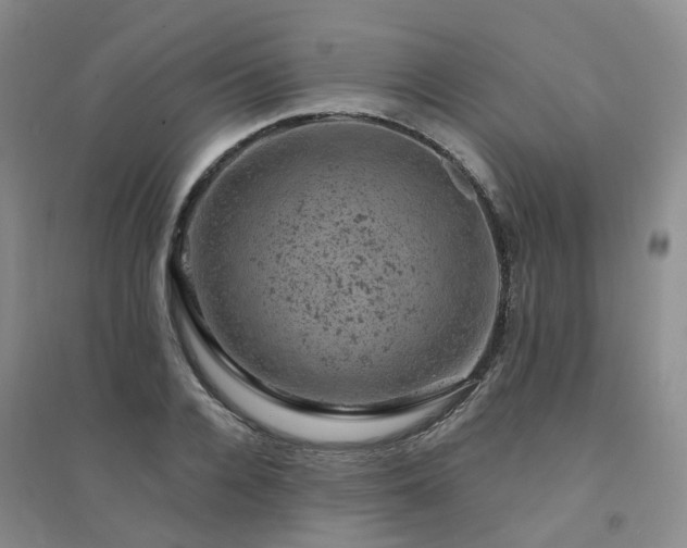 X0000094440936200711151401
