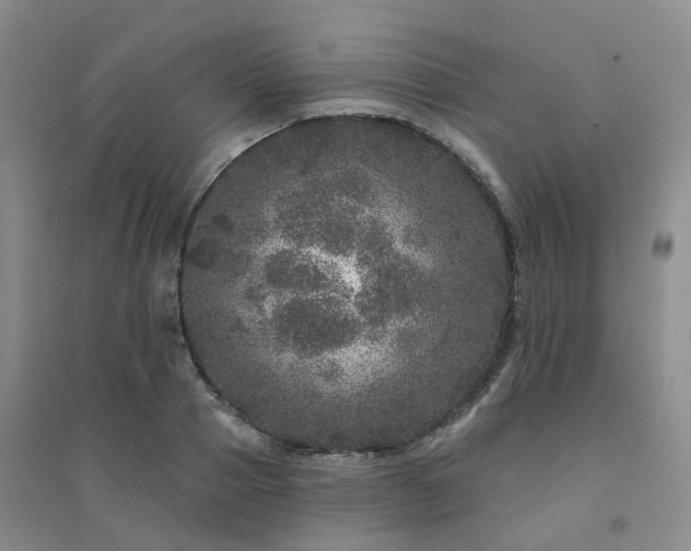 X0000094440937200711151401