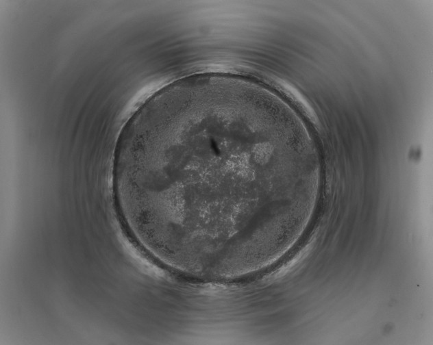 X0000094440938200711151401
