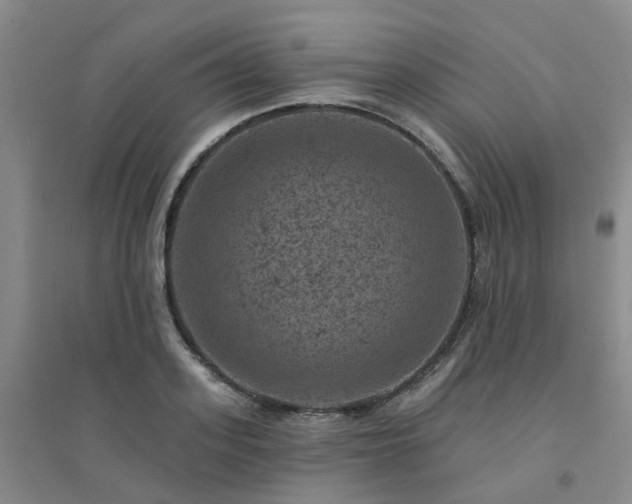 X0000094440939200711151401