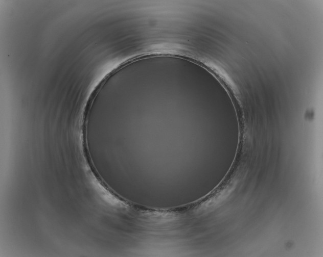 X0000094440941200711151401