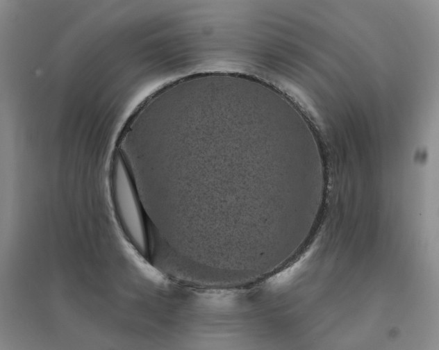 X0000094440942200711151401