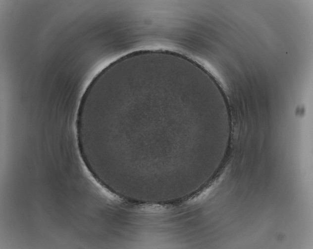 X0000094440943200711151401