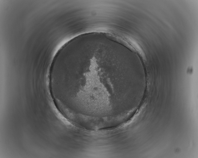 X0000094440944200711151401