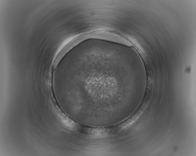 X0000094440948200711151401