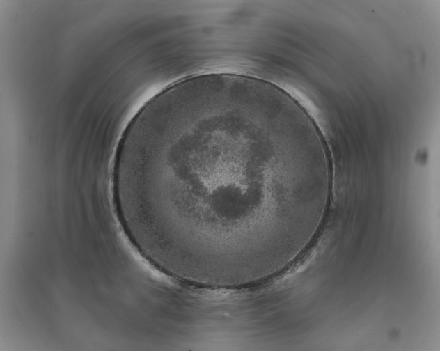 X0000094440949200711151401