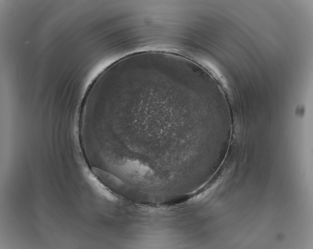 X0000094440952200711151401