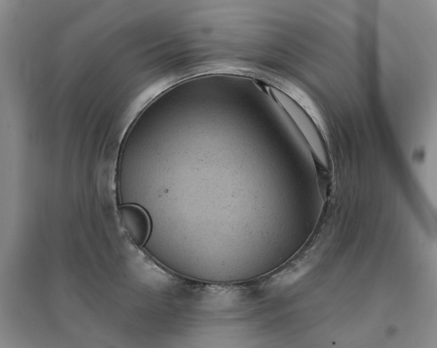 X0000094440954200711151401