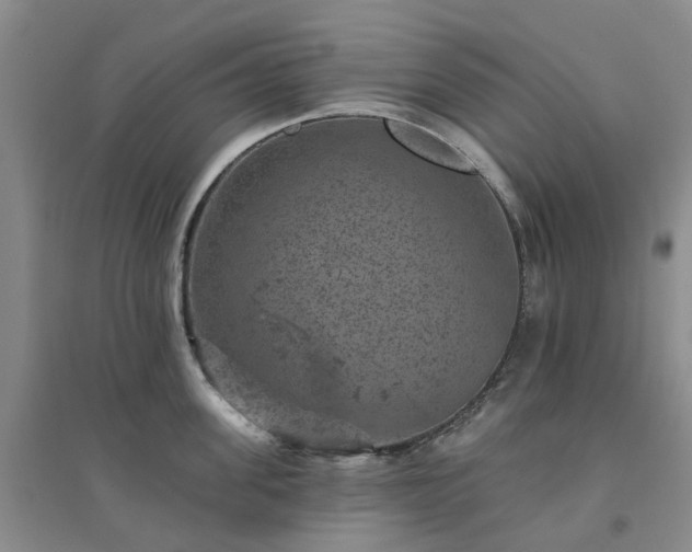 X0000094440955200711151401
