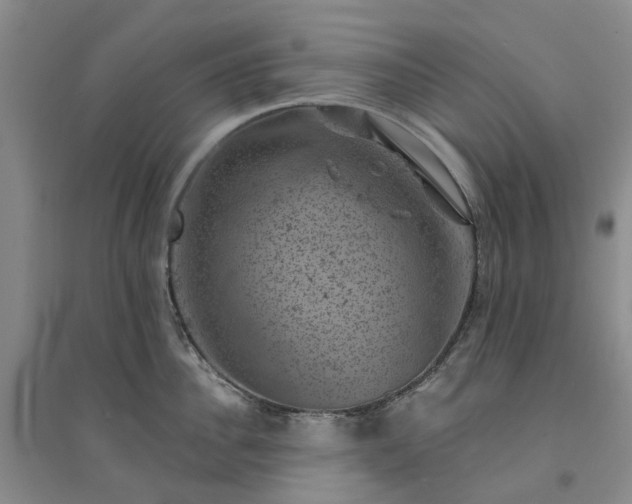 X0000094440956200711151401